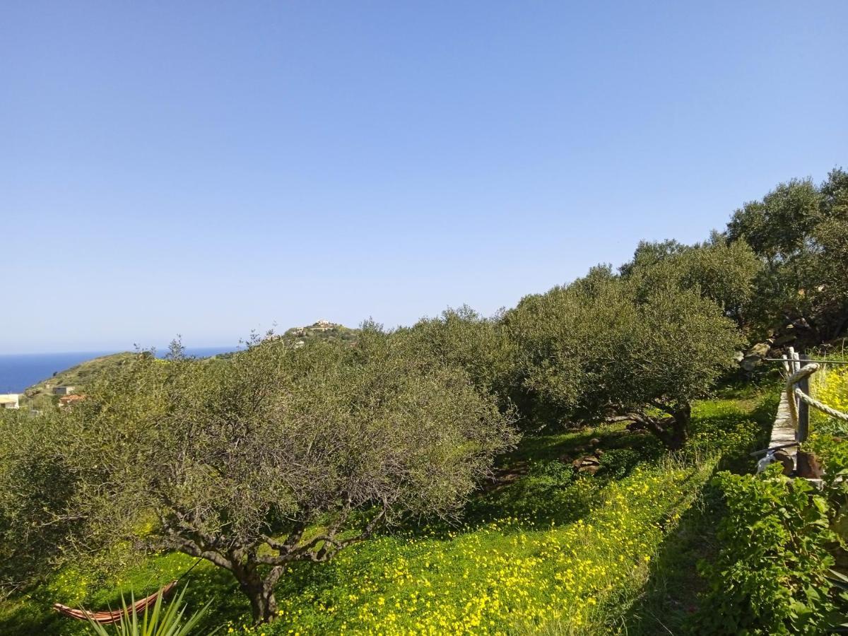 Saveriako, Paradise For Relaxed Free Spirits Villa Agia Pelagia  Exterior photo
